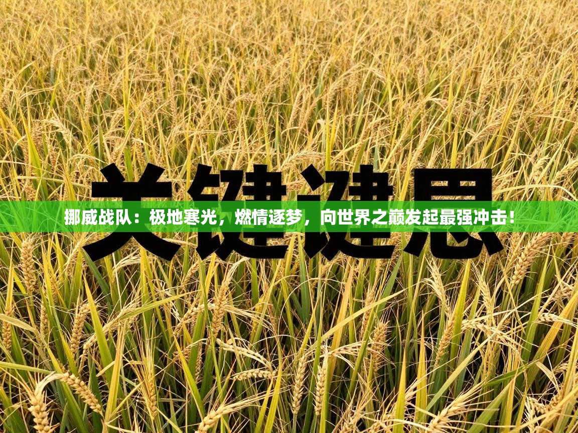 挪威战队：极地寒光，燃情逐梦，向世界之巅发起最强冲击！